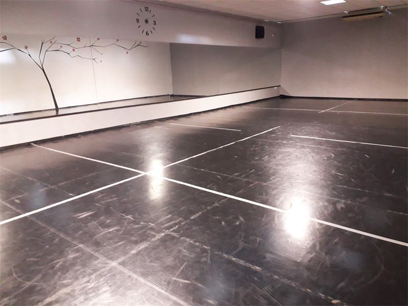 Sala de artes marciales y MMA con suelo de tatami