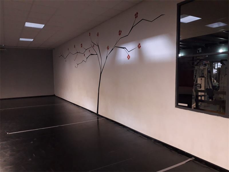 Sala de clases con vista a la zona de máquinas de musculación